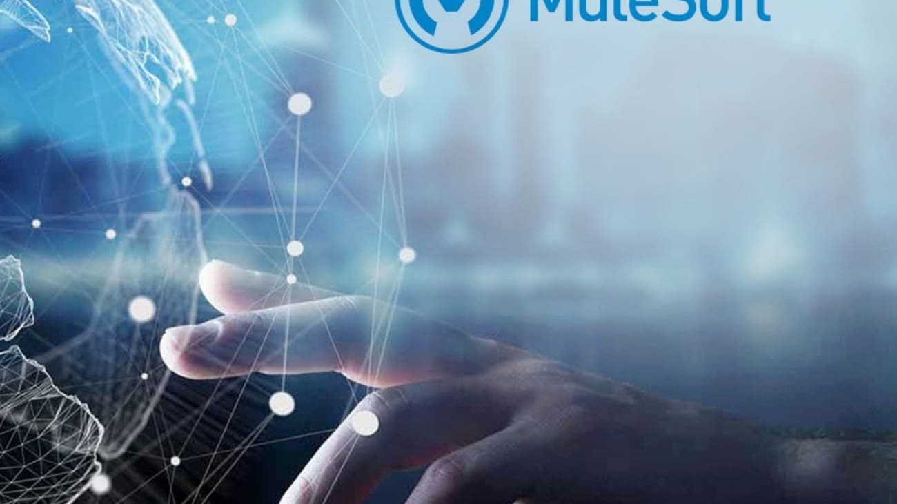 11MuleSoft-Recognizes-Leading-Partners-for-Accelerating-Digital-Transformation-at-MuleSoft-CONNECT-2019