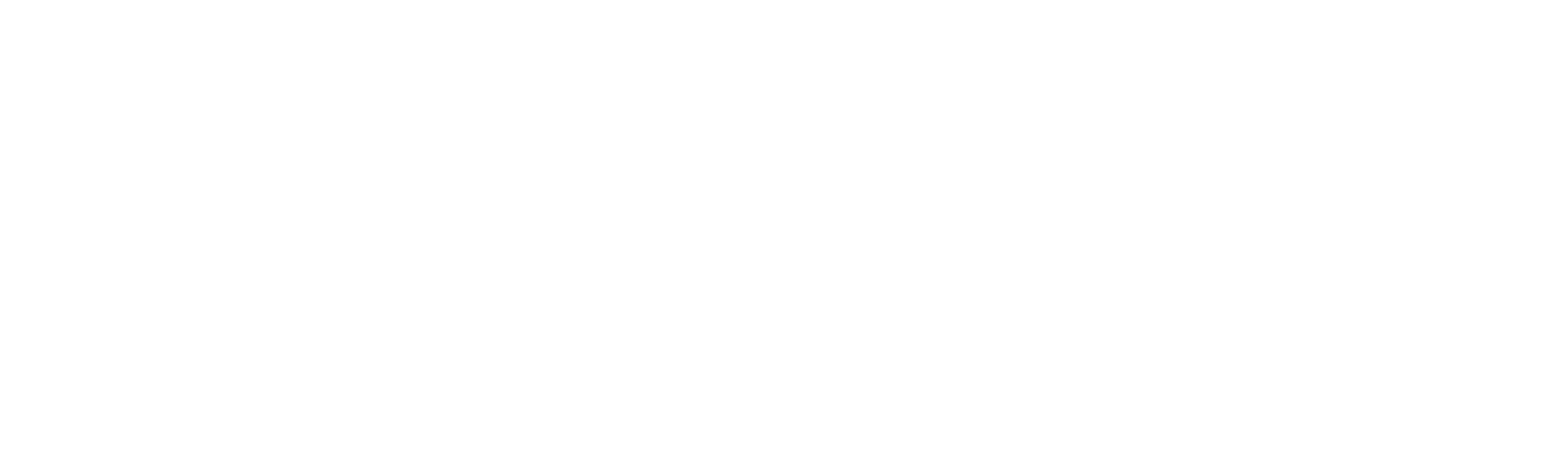 BearingPoint_white_Logo